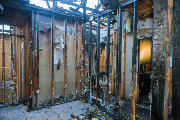Professional Fire Damage Removal technician working in Paxtang, PA